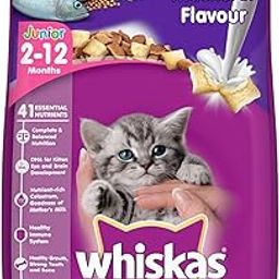 Whiskas Kitten (2-12 months) Dry Cat Food, Mackerel Flavour, 1.1kg Pack-image-64