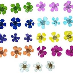 Natural Real Dried & Pressed Plum Flowers Mix – Multicolor for Soap, Candle, Scrapbooking, DIY, Resin Jewelry, Pendants - Mix Plum Flowers (Set of 27)-image-80