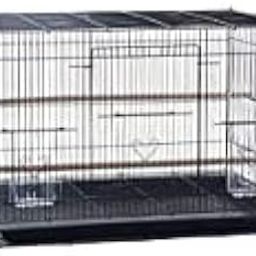 Metal 15" Bird Cage For Budgies, Finches, Love Birds, Cocktails, Conures, Cuttlefish Bone Holder With Cuttlefish Bone, 2 Cups, 1 Perch Stick L : 15" , B : 11", H:12 " - (Colors May Vary).-image-62