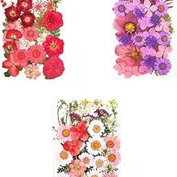 MERISHOPP®Pack-3 Dried Flowers Petals Art Craft Epoxy Resin Jewelery Soap Making|Crafts | Home Arts & Crafts | Floral Crafts | Dried Botanicals & Potpourri-image-70