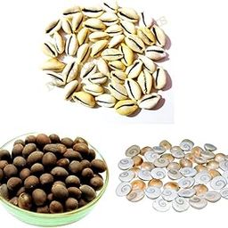Divya Cotton Wicks™ || Natural and Original Gomti Chakra || Kamal Gatta/Lotus Seeds || Kaudi/Kawdi || Combo Pack of 11 Piece Each || Color : Natural-image-9