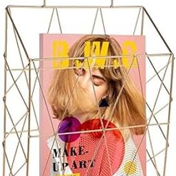 Franklite Mteel Iron Wall Hanging Storage Basket Magazine Holder Wall Mounted Hanging Newspaper Magazine Book Holder Stand Look Decorative File Storage Organizer for Table Desk Home Office Decor(GOLD)-14