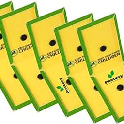 Pestezy Yellow Sticky Glue Traps for Insects | Use in Kitchen, Garden & Agriculture I (33cm X 11cm) (Pack of 5)-picture-19
