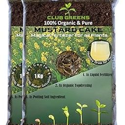 CLUB GREENS Organic Mustard Cake Fertilizer for All Type of Plants (2 KG)-image-46