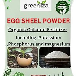 Eggshell Powder for Plants|Calcium Powder|Terrace Gardening|Soil Naturals Manure|Potting Mix|Indoor Outdoor for Plants|Root Care (450grams)-image-7