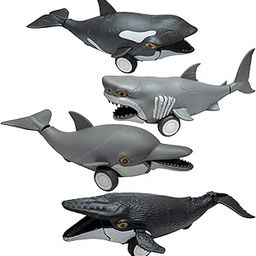 SHAKTISM Ocean Life Pull Back Marine Animals Toy Featuring Megalodon, Orca, Dolphin and Humpback Whale Random Colour Dispatch 2Pc-29