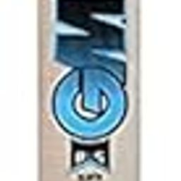 GM Special Edition English Willow Cricket Bat for Men and Boys for Tournaments with Full Cane Handle Play Lather Ball-image-73