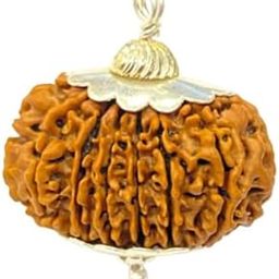 Barah Mukhi Rudraksha 12 Mukhi Rudraksha Original Certified Nepali With Capping Pendant & Red Thread बारह मुखी रूद्राक्ष Twelve Face Rudraksha Twelve Mukhi Rudraksha 12 मुखी नेपाली रुद्राक्ष-picture-6