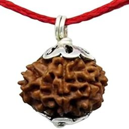 ™ Ten mukhi Rudraksha Original Certified with Silver Capping Pendant 10 मुखी रुद्राक्ष 10 Face Rudraksha Bracelet दस मुखी रुद्राक्ष Ten Face Rudraksha Nepal Das Mukhi-picture-11