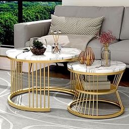 NEST NATURE HAVEN Round Coffee Table, Modern Nestings Table Set of 2, Sofa Side Table with Marble Veneer Top and Metal Frame, End Table for Living Room Bedroom Home or Office (Golden White)-16