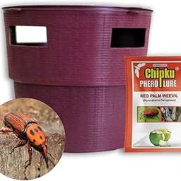 Chipku - buket Trap with red Palm Weevil Pack of 2-image-33