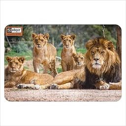 ABYZ Wooden Jigsaw The Lion Family Puzzle 300-Pieces Play and Learn Educational Puzzle for 6+ Year Old Kids & Adults, Toy for Improving Memory & Problem Solving-image-52