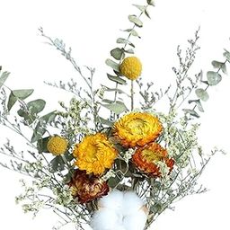 CLUB BOLLYWOOD® Dried Eucalyptus Flower Bouquet - Green - 1 Bunch - Indoor/Outdoor - DIY Gift & Decor-image-16