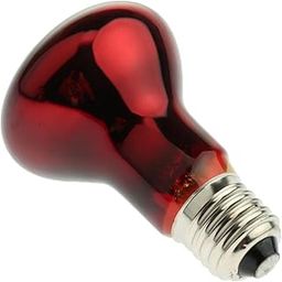 CLUB BOLLYWOOD BNF®Glass Pet Heating Infrared Lamp Winter Heat Emitter Lamp Bulb E27 Red 25W|Pet Supplies | Reptile Supplies-image-70