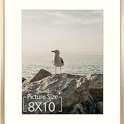 Mat Board Center, 11x14 Aluminum Picture Frame - Displays 8x10 with Mat and 11x14 Without Mat - Horizontal and Vertical for Wall Mounting Metal Photo Frame (Gold, 1-Pack)-image-65