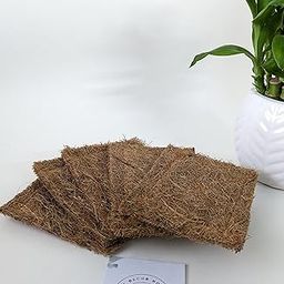 The DECORHOME'S Eco Friendly Natural Coir Coconut Fibre Dish Scrubber Suitable for Dish/Utensils/Tiles,WashBasin Cleaning Pad (Set of 5)-image-97