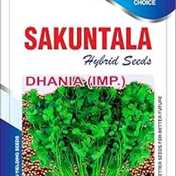 Sakuntala HYBRID SEEDS DHANYA CORIANDER SEEDS For Home Gardens Farms Roof Top Balcony Terrace (250+ seeds per packet)-image-39