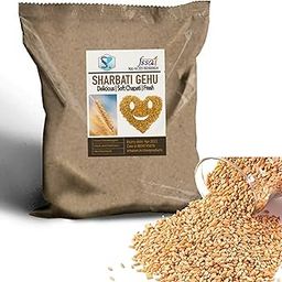 Shiviproducts MP Sharbati Wheat Fresh from Farms | No Mixture | No Preservatives | Washed and Dried (4.5 Kg)-image-36