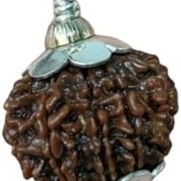 RudraGallery 11 Mukhi Rudraksha Nepal with Silver Capping1 मुखी रुद्राक्ष लैब सर्टिफिकेट Ekadash Mukhi Mala for Men Women 11 Face Rudraksha Original Certified Gyarah Mukhi Rudraksha-picture-31