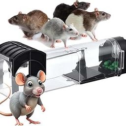 Rat Trap Cage – Large 32cm Reusable Catch & Release Rodent Control for Home, Office, Kitchen, Garden, Bedroom – No-Kill, Transparent Design – Safe & Effective – Ideal Gift | Pack of 1-15