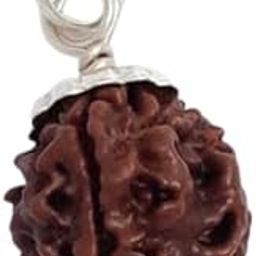 BluDiamond 3 Mukhi Rudraksha तीन मुखी रूद्राक्ष Three Faced Rudraksh Pendant Original Certified Rudraksha 3 मुखी रुद्राक्ष Brown Beads Tin Teen Mukhi Rudraksha for Dhyan-picture-10