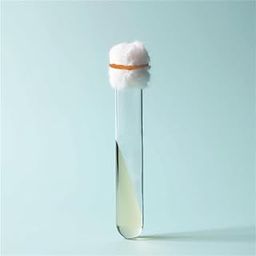 PDA Prepared in Test Tube for Mushroom Culture – Grow Oyster, Shiitake, Reishi, Lion’s Mane & Button Mushroom Mycelium – Ideal for Lab Use, Mushroom Farming, Science Projects & Home Growing Kits-picture-16