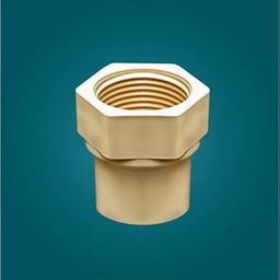 Infinite tech CPVC FTA/Plumbing Pipes Fitting/CPVC plumbing adapter/threaded female connector (2.5" Inch_Creamy White) Pack of 1 Piece-image-2