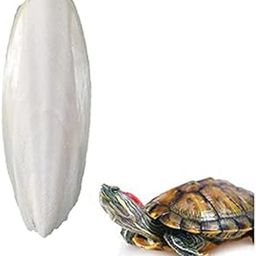 Sage Square Natural High Calcium Source Cuttlebone Fish for Turtle (100grm)-22