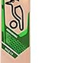 Florence Generic Popular Willow Cricket Bat Full Size for Boys and Girls Advance Play Multicolor(Popular Willow bat),-image-99
