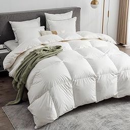Feather Down Comforter Queen Size - Ltinhome Goose Duck Feather Down Comforter, Down and Feather Duvet Insert with Cotton Cover, All Season Stand-Alone Down Comforter with Conner Tabs-22