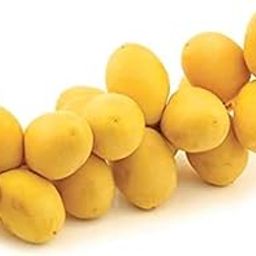 Fresh Dates, Yellow, 250 Grams, Fresh-image-34