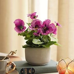 Purple Artificial Pansy Plant with Cement PotFake Plants Small, Mini Decorative, Home Office or Gift Wild Artificial Plant with Pot. (21X21X23 CM)-22