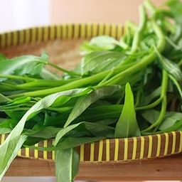 Gachwala Water Spinach Seeds (Pack of 100+) | Kalmi Saag Seeds | Kangkung Seeds-image-94