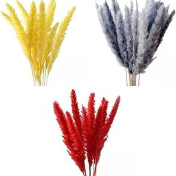 BNF® 45Pieces Dried Pampas Grass Phragmites Reed Flowers Bunch Wedding Decoration|Home & Garden | Home Decor| Floral Decor-picture-26