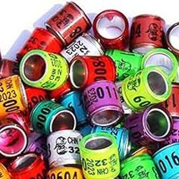 STYLEHEAVEN 50x 2023 Pigeon Leg Rings Bird Foot Bands for Bantam Finch Canary Mixed Color-picture-17