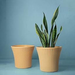 10 Inch Flower Pots for Home | Pack of 2 | Gamla Planter Pots for Indoor and Outdoor Gardening | Plastic Pots for Balcony, Lawn and Garden | Home and Terrace Decor (Beige)-image-88