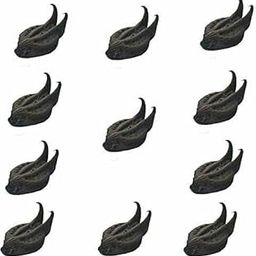 Bat Head Roots 21 Pcs-picture-21