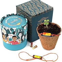 bioq Eco-Friendly Plantable Rakhi | Planting kit + Roli & Chawal + Letter Included | Rakhee with Sunflower Seed | Bio-degradable Rakshabhandhan-image-93