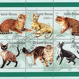 Stamps-Hobby: Guinea Bissau 2001 Cats Animals | 6v CTO Souvenir S/S (1 Sheet)-13