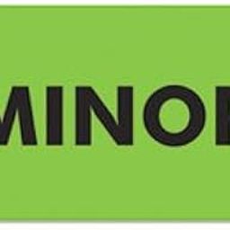 Medical Labels for Minor, 7/8 x 1-1/2, Fluor Green, 250/Roll-image-37