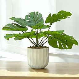 SKYGREEN™ Artificial Plants with Pot | Multi Variety | No Maintenance | Premium Decorative Item for Home & Office | Natural Looking Artificial Plants | Small Artificial Plants with Pot | (SN-8)-image-89