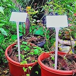 T-Shaped Naming Stick with Tilted Head/Tilted Head Naming Stick/Waterproof Outdoor Identification Markers (Pack of 10)-image-64