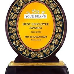 IDORA PRINTS Personalized Oval Trophy Award for Employees, Students, Business Associates | Premium MDF Trophy with Logo, Photo & Text (27.94 CM)-image-6