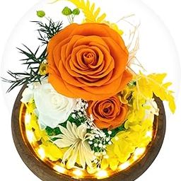GLAMOUR BOUTIQUE Preserved Flowers Rose in Glass Dome w/Light - Long Lasting Flowers, Flower Gifts for Women for Any Occasion - Home Decor, Comes w/Thick Gift Box - Glass Rose Flowers - Orange-image-33