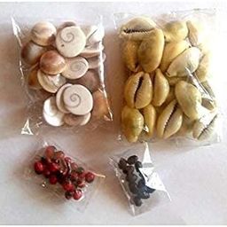 PMW Maha Lakshmi Set - Kowri 11 Pcs, Lal Gunja 11 pcs, Gomati Chakra 11 pcs and Lotus Seeds 11 Pcs-picture-32