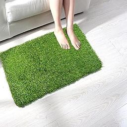 Anti - Slip Artificial Grass mat for Balcony/Door (38 x 58 cm)-image-28