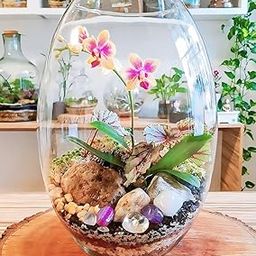 SHOBHANA ENTERPRISES Crystal Clear Oval Glass Vase (18")-image-11