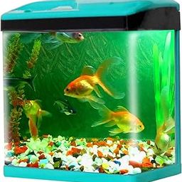 JAINSONS PET PRODUCTS Fish Aquarium Tank Capacity 28 Liter (Colour May Vary, Blue Or Red, Rust Resistant) LXWXH 16''X8''X17'' INCH (Model SOBO-400) Color May be Blue Or Red-picture-32