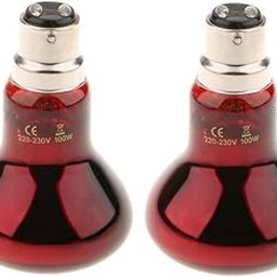BNF® 2pcs B22 UVA Heater Reptile Heat Basking Lamp Moonlight Bulb 220V 100W|Pet Supplies | Reptile Supplies|2 Piece Reptile Heat Lamp-image-13