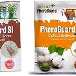 Agrosiaa PheroGuard SI Rice Yellow Stem Borer Lure - Scirpophaga Incertulas | Pack of 10 | & | HA Combo Pack Pheromone Lure for Cotton Bollworm Helicoverpa Armigera, Pack of 10-image-75
